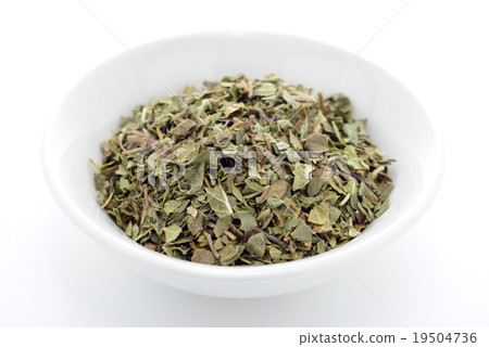 Oregano 19504736