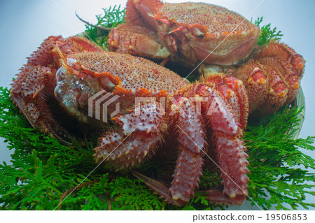 Hair crab blowing foam Hair crab blowing foam 19506853
