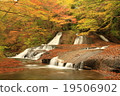 Autumnal bear slide 19506902
