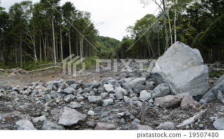 大雨災害記錄 大雨災害記錄 19507480