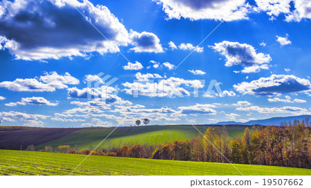 Two skins and cuddling two trees 19507662