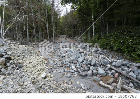 Record of heavy rain disaster 19507768