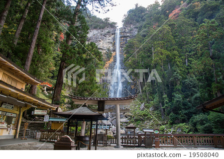 Wakayama Nachi Waterfall over Torii Wakayama Nachi Waterfall over Torii 19508040