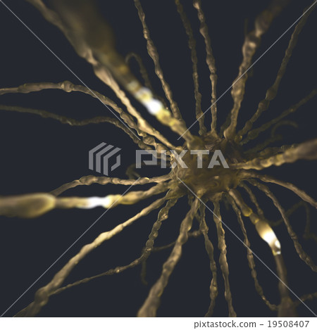 Neurons Concept 19508407