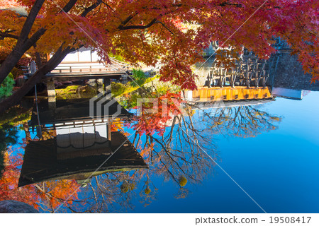 和歌山城堡秋天葉子的秋葉離開反射池塘和Mobashi走廊的庭院和秋葉 19508417