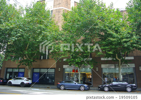 Maoming South Road Maoming South Road 19509105