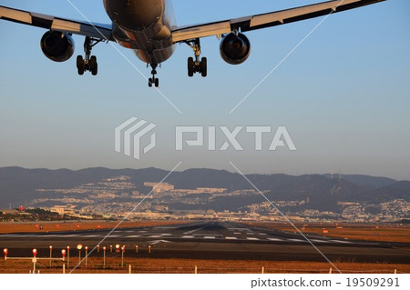 airplane airplane 19509291