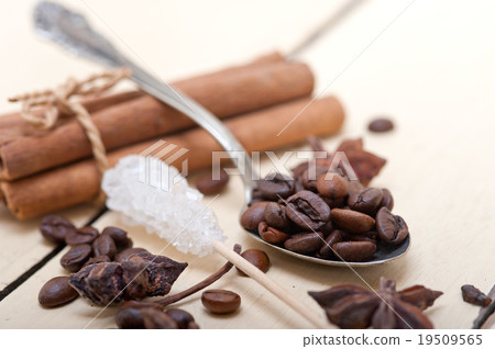 coffe sugar and spice 19509565
