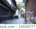 Shibu Onsen 19509777