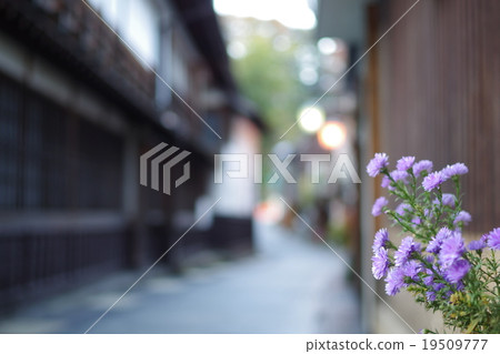 Shibu Onsen Shibu Onsen 19509777