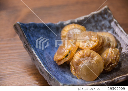 Scallop delicacy 19509909