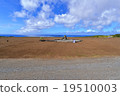 Iwo Jima 19510003