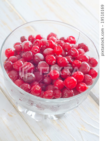 frozen cranberry 19510169