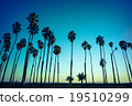 Palm tree 19510299