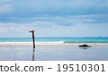 Horizon  19510301