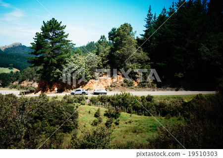 新西蘭拖 19510303