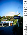 New Zealand cafe 19510403