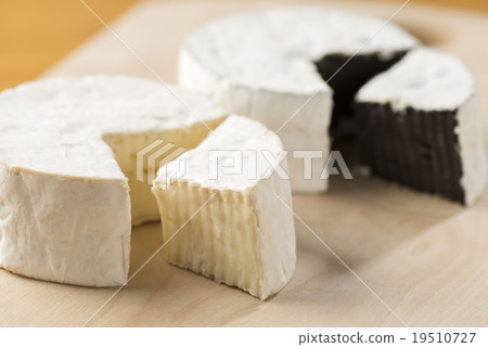 卡門培爾奶酪 19510727