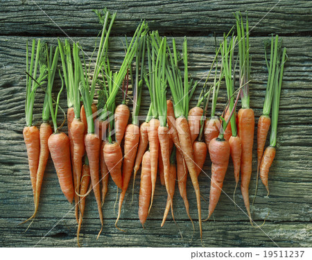 fresh carrot on wood texture fresh carrot on wood texture 19511237