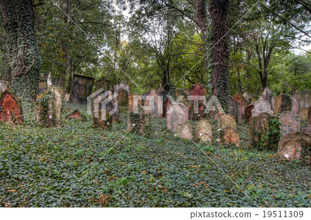 Old Jewish Cemetery Old Jewish Cemetery 19511309