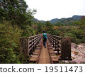 Yakushima Kosugi Tanihashi 19511473