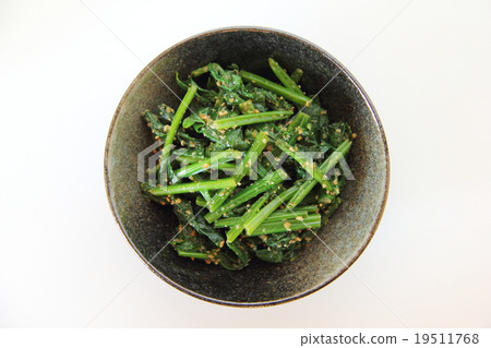 芝麻菠菜 19511768