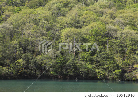 The fresh green of the mountain at Ikejiri The fresh green of the mountain at Ikejiri 19512916