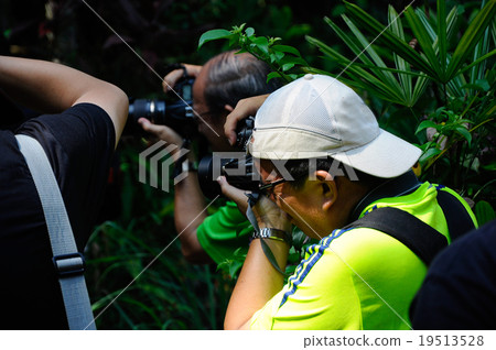 Professional photographer on outdoor duty 19513528