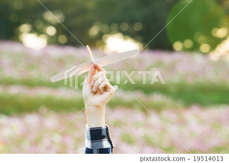 一架飛機 19514013