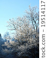 Sparkling glittering ice 19514117