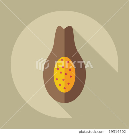 Flat modern design with shadow icons avocado 19514502