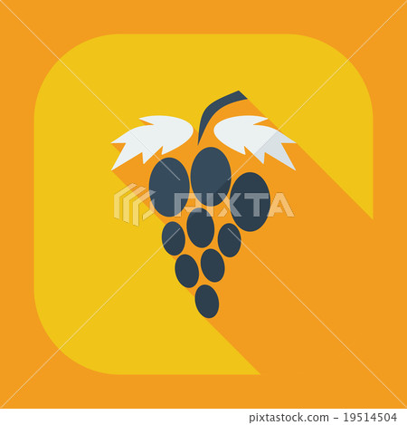 Flat modern design with shadow icons grapes 19514504