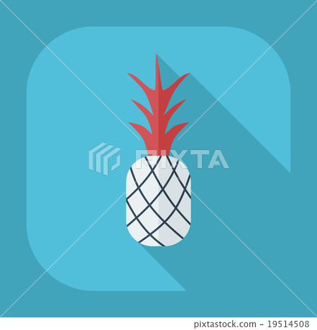 Flat modern design with shadow icons pineapple Flat modern design with shadow icons pineapple 19514508