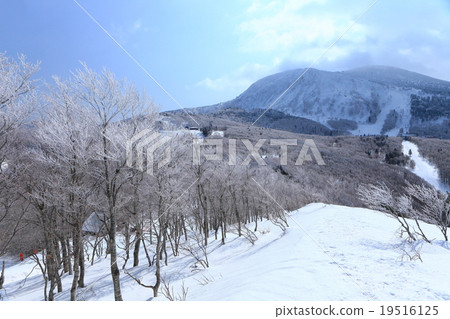 Zao ski resort 19516125