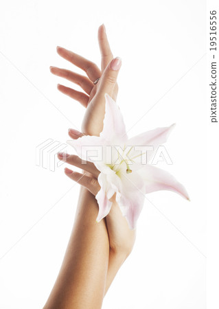 beauty delicate hands with manicure holding flower 19516556