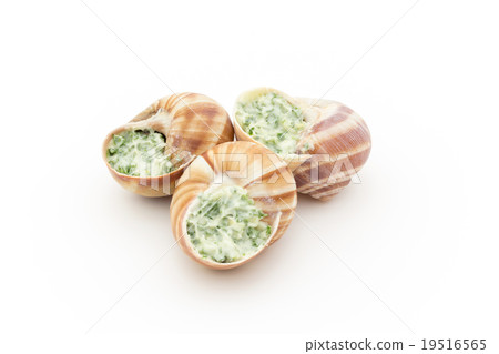 Escargot before cooking: Uncooked escargot 19516565