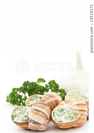 Escargot before cooking: Uncooked escargot 19516572