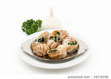 Escargot: Cooked escargot on escargot plate Escargot: Cooked escargot on escargot plate 19516596
