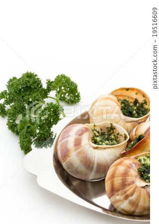 Escargot: Cooked escargot on escargot plate Escargot: Cooked escargot on escargot plate 19516609