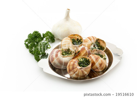 Escargot: Cooked escargot on escargot plate Escargot: Cooked escargot on escargot plate 19516610