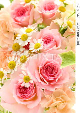 插花背景 19516969