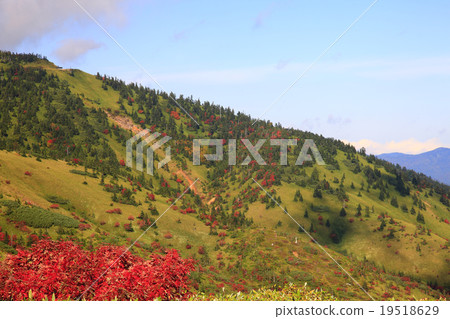 Shiga Kogen 19518629