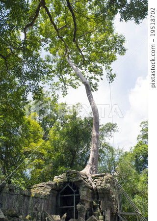 柬埔寨暹粒塔帕拉姆遺址 柬埔寨暹粒塔帕拉姆遺址 19518702