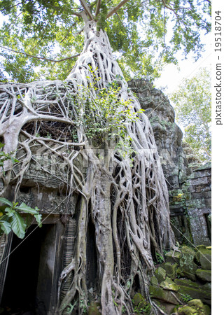 柬埔寨暹粒塔帕拉姆遺址 柬埔寨暹粒塔帕拉姆遺址 19518704