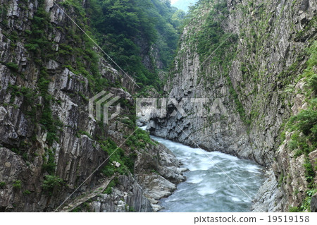 Kiyotsukyo 19519158