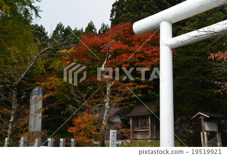 Tsuchi神社在深秋 19519921