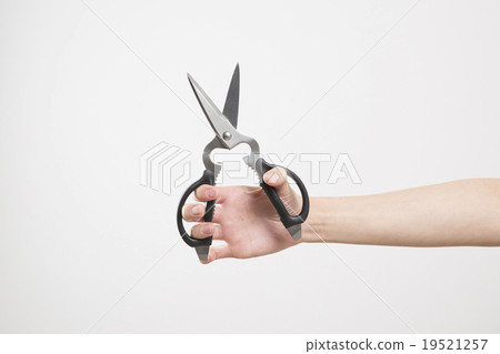 Female hand 19521257