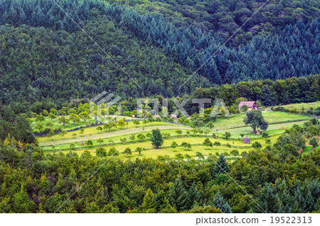 Farmland Farmland 19522313