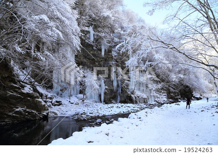 Icicle 19524263
