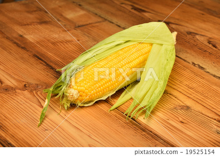 One open corn cob on vintage wooden surface One open corn cob on vintage wooden surface 19525154